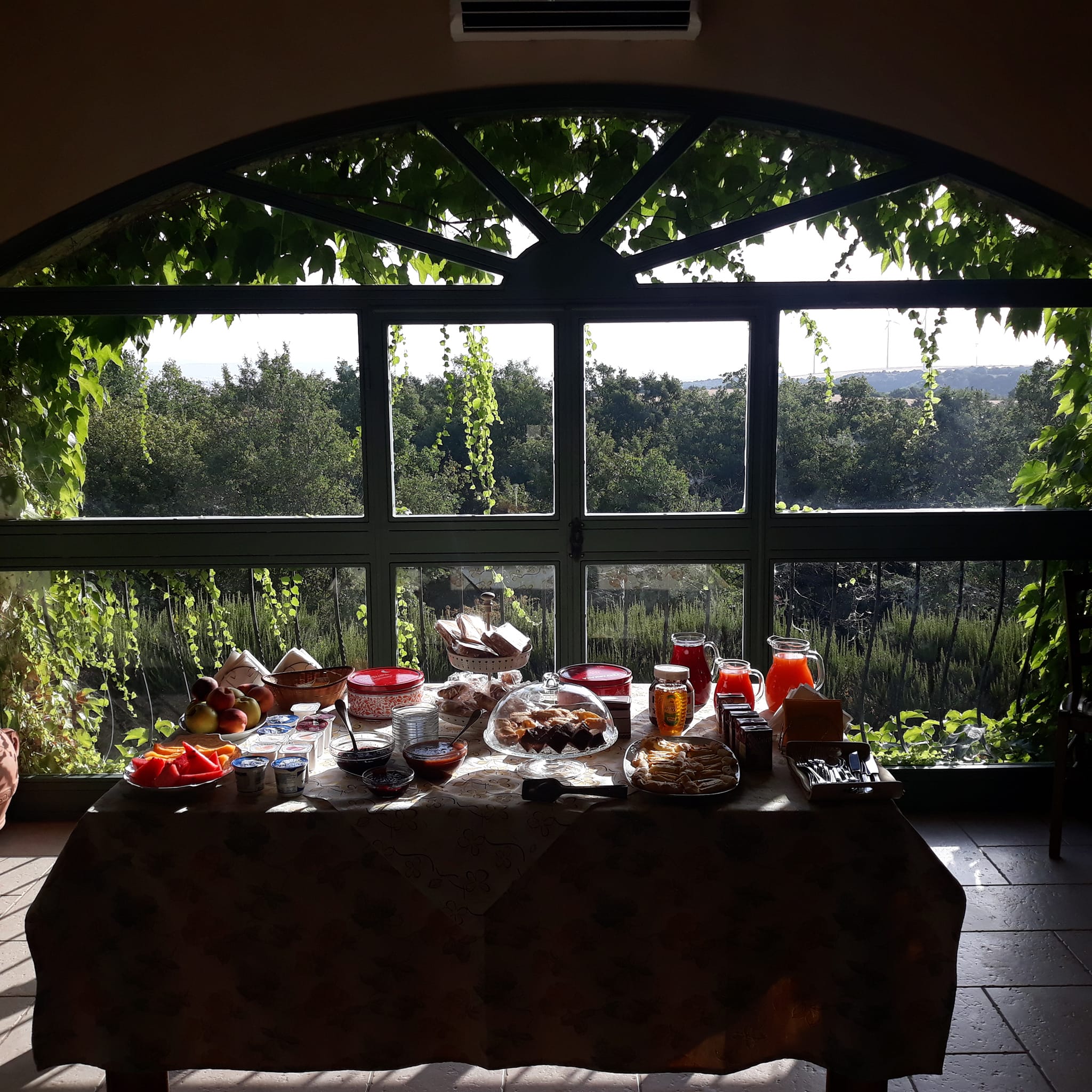 Agriturismo Carrera della Regina- Esperienza Enogastronomica - immagine 3