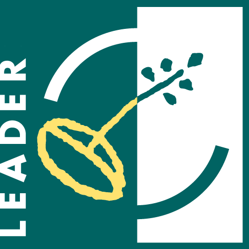 LogoLEADER_Positivo